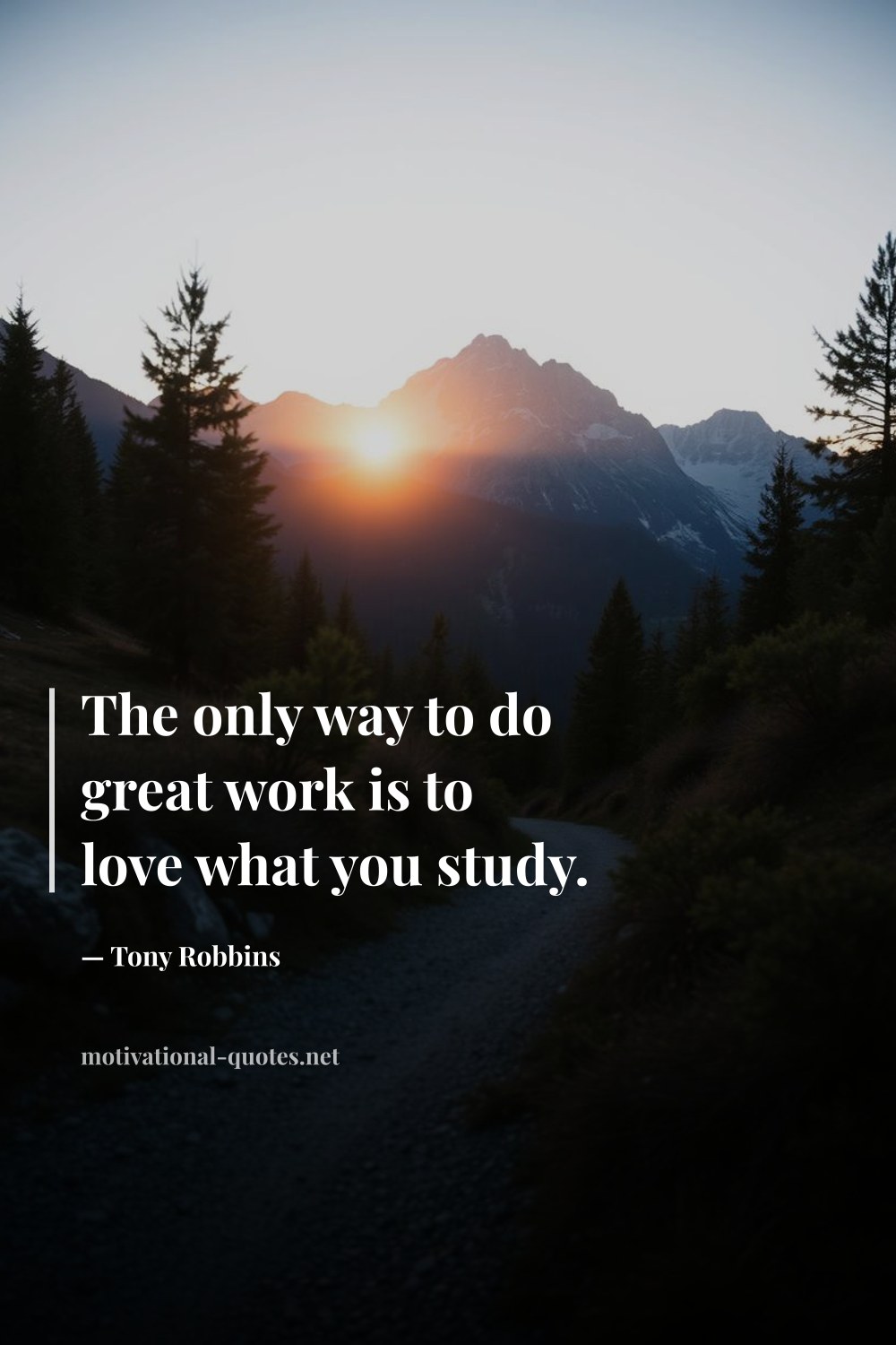 "The only way to do great work is to love what you study." — Tony Robbins