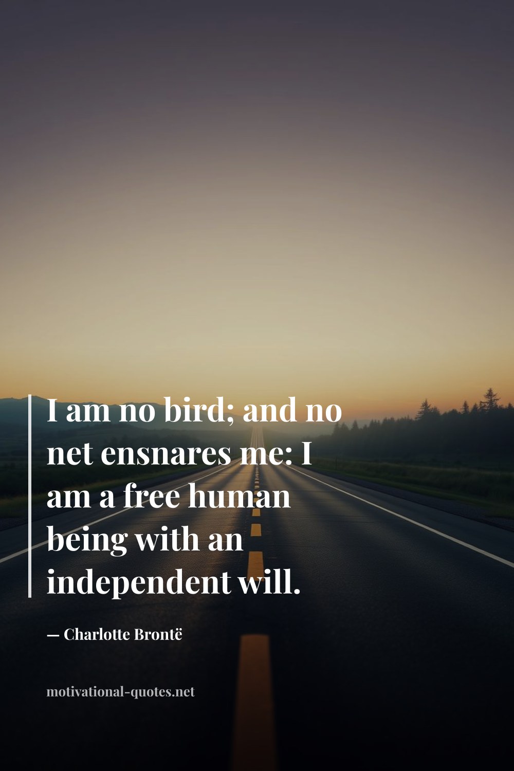 "I am no bird; and no net ensnares me: I am a free human being with an independent will." — Charlotte Brontë