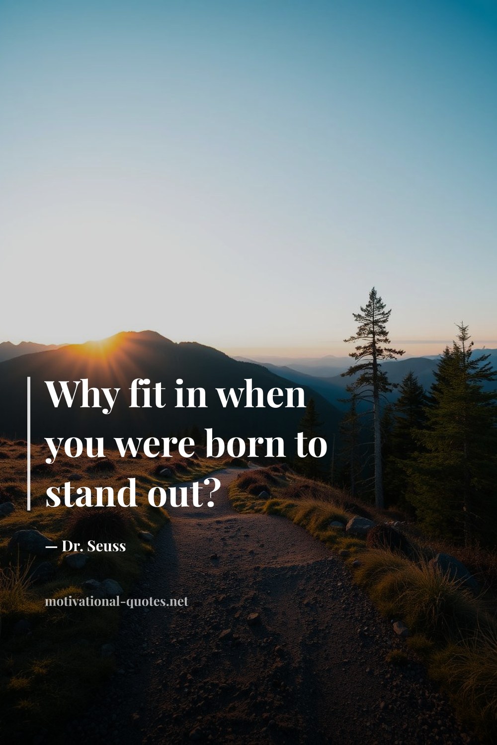 "Why fit in when you were born to stand out?" — Dr. Seuss