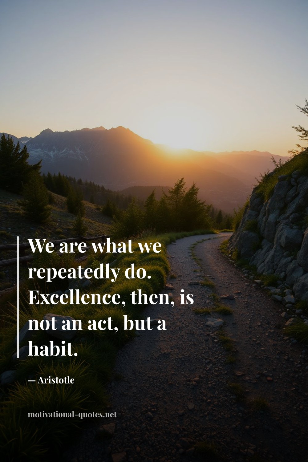 "We are what we repeatedly do. Excellence, then, is not an act, but a habit." — Aristotle