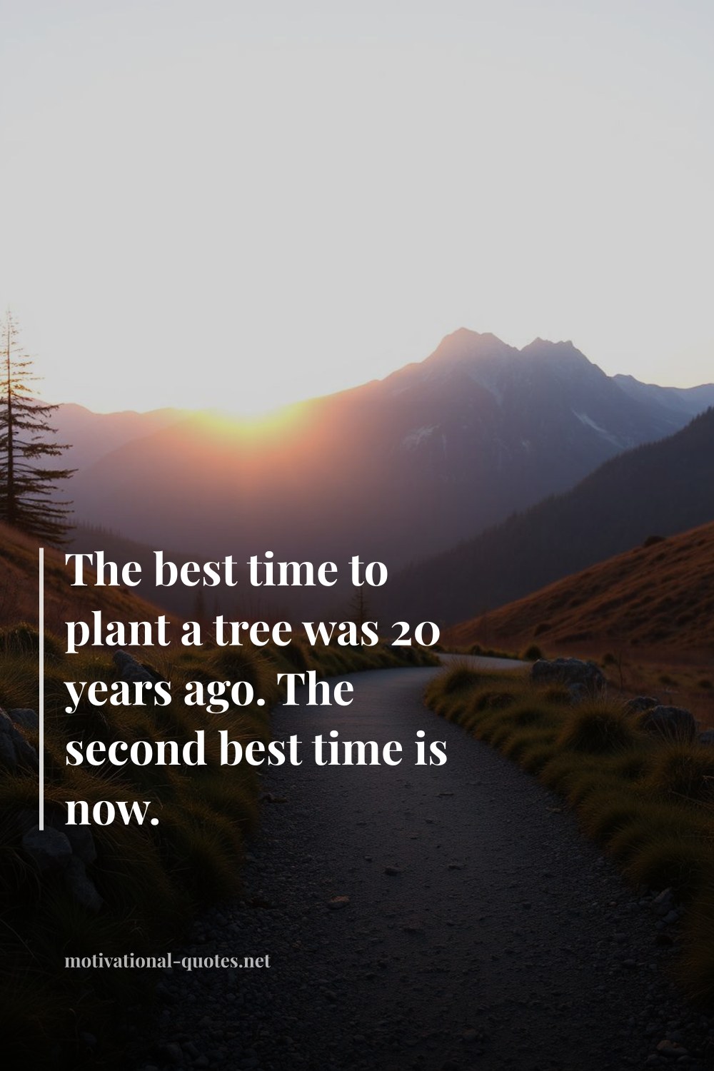 "The best time to plant a tree was 20 years ago. The second best time is now." — Anonymous
