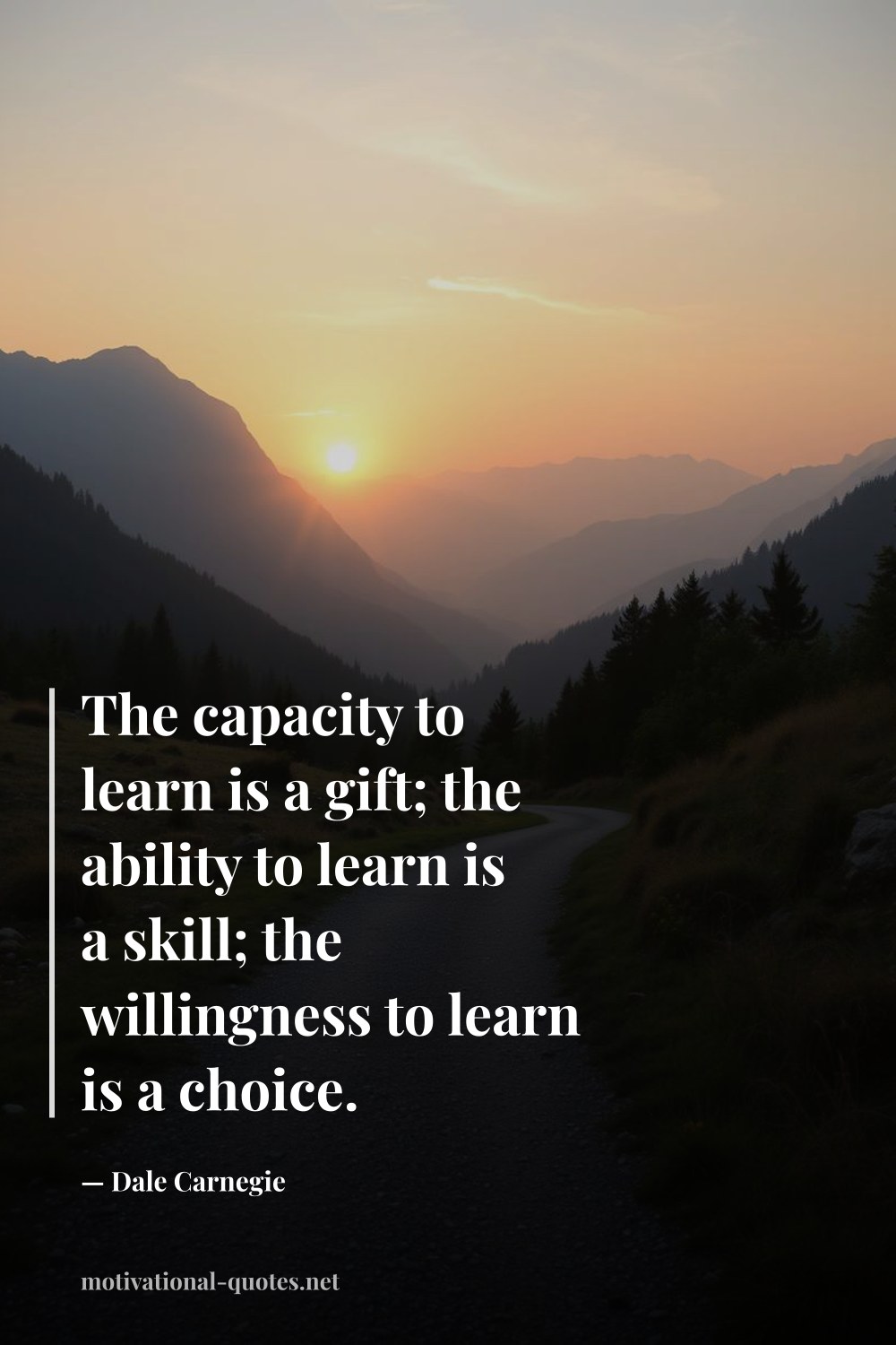 "The capacity to learn is a gift; the ability to learn is a skill; the willingness to learn is a choice." — Dale Carnegie