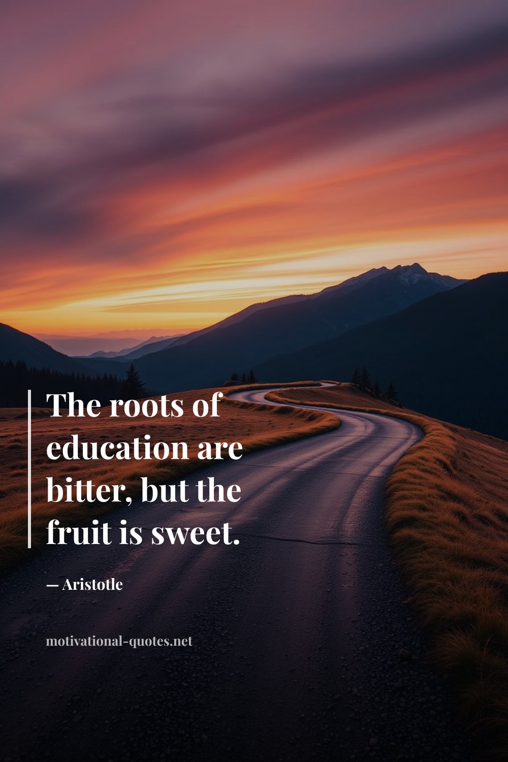 "The roots of education are bitter, but the fruit is sweet." — Aristotle