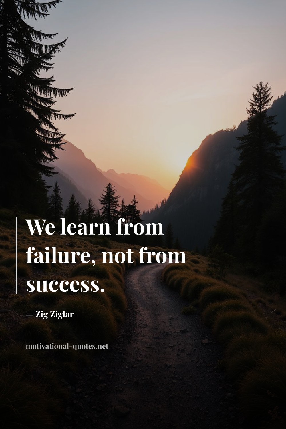 "We learn from failure, not from success." — Zig Ziglar