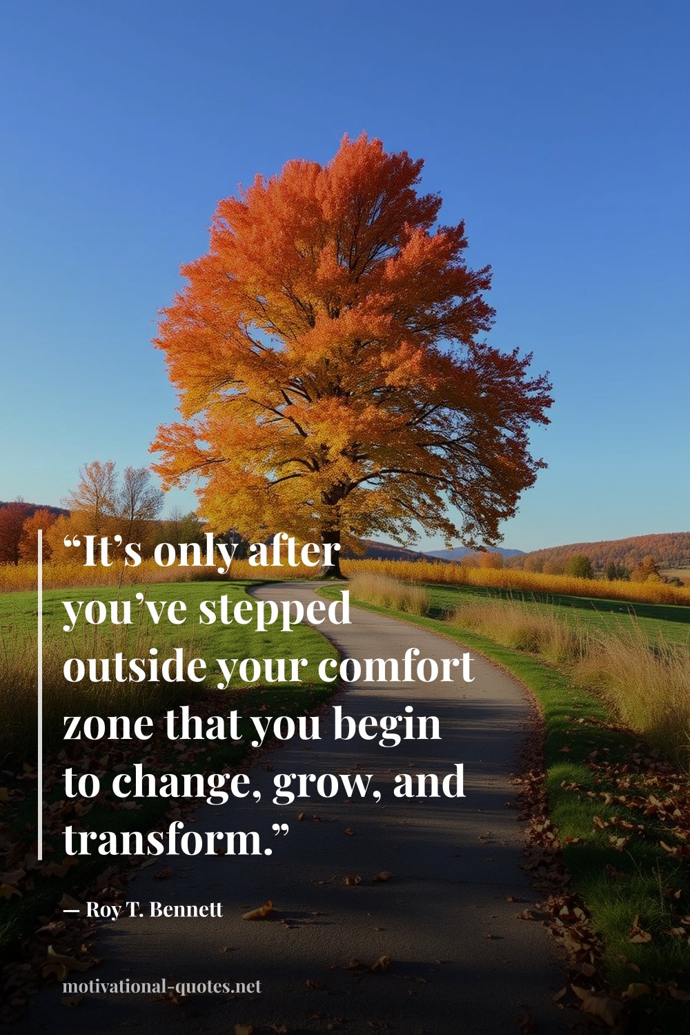 "“It’s only after you’ve stepped outside your comfort zone that you begin to change, grow, and transform.”" — Roy T. Bennett
