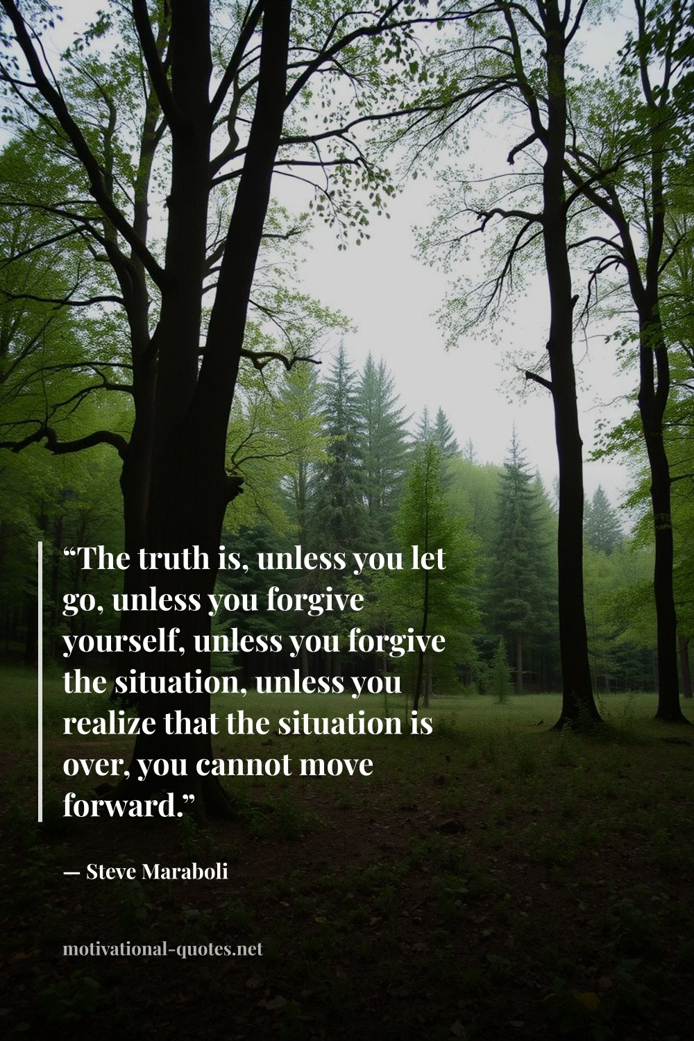 "“The truth is, unless you let go, unless you forgive yourself, unless you forgive the situation, unless you realize that the situation is over, you cannot move forward.”" — Steve Maraboli