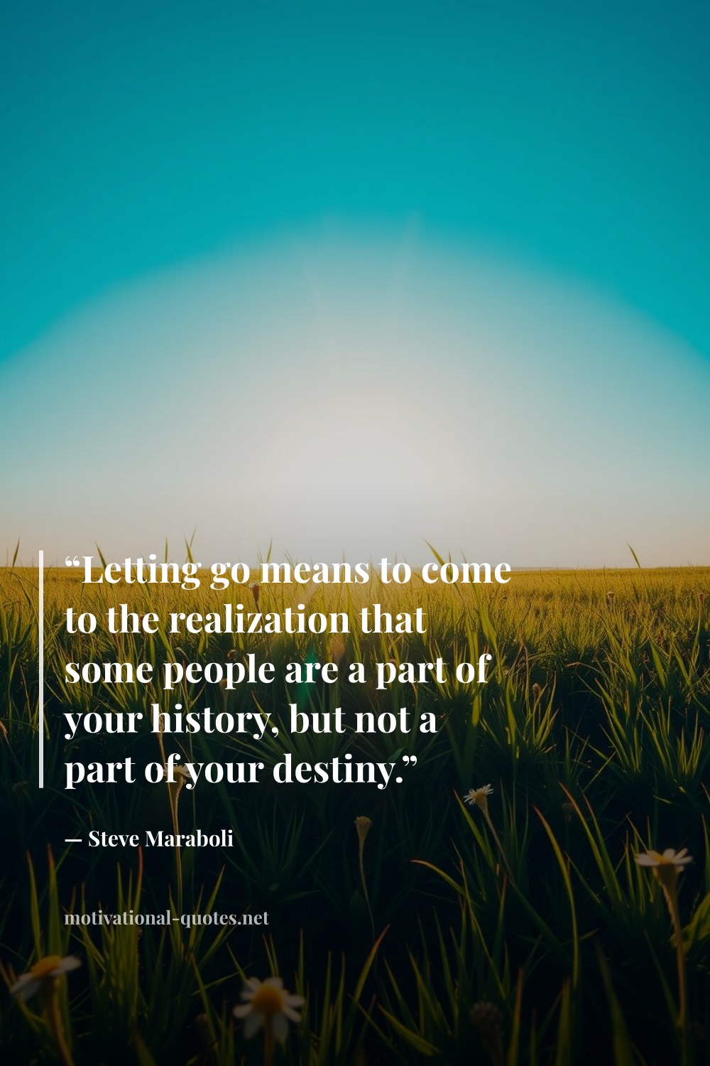 "“Letting go means to come to the realization that some people are a part of your history, but not a part of your destiny.”" — Steve Maraboli