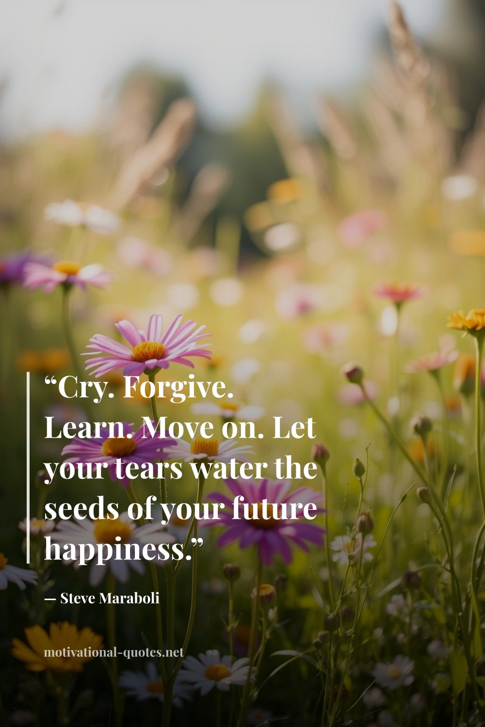 "“Cry. Forgive. Learn. Move on. Let your tears water the seeds of your future happiness.”" — Steve Maraboli