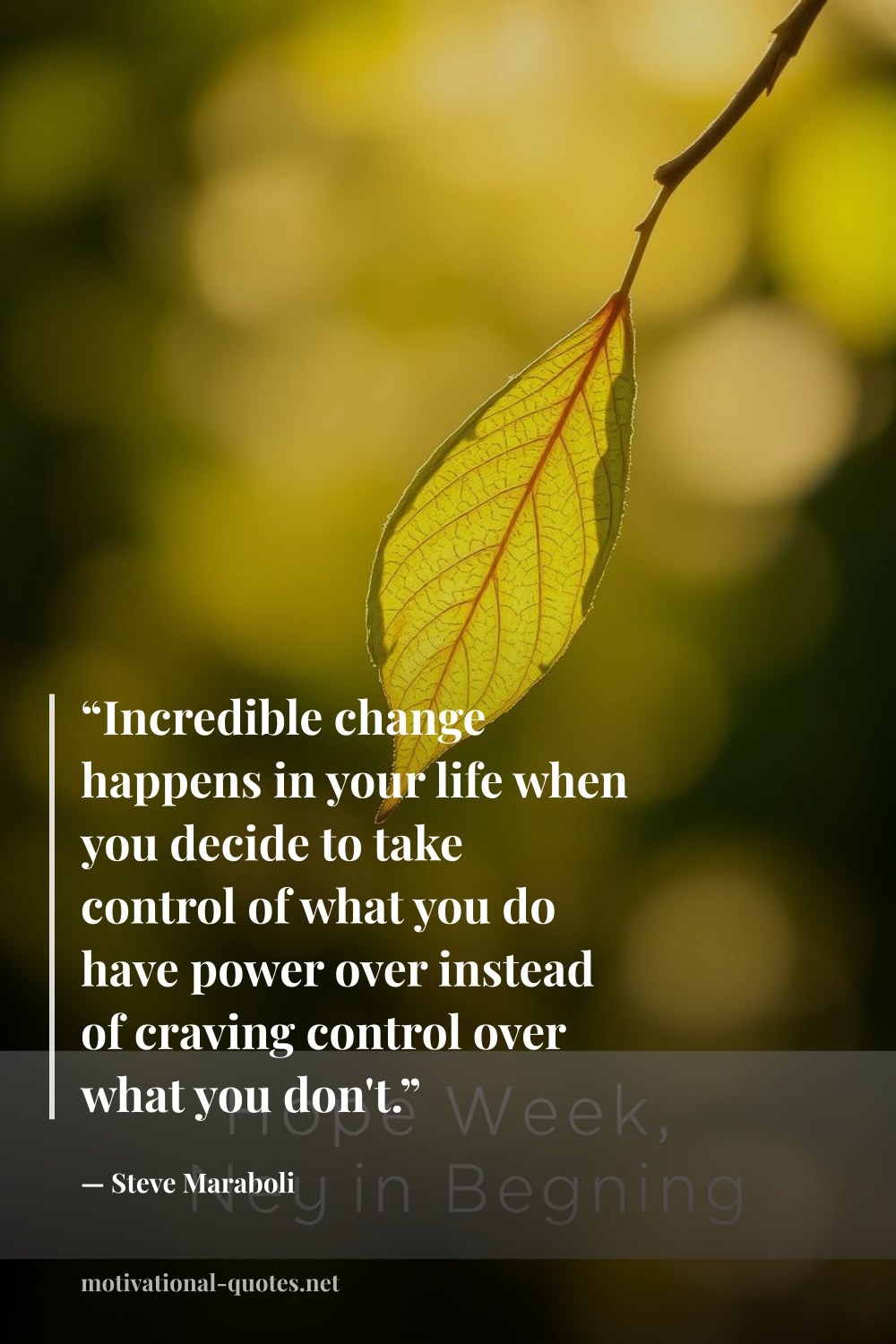 "“Incredible change happens in your life when you decide to take control of what you do have power over instead of craving control over what you don't.”" — Steve Maraboli