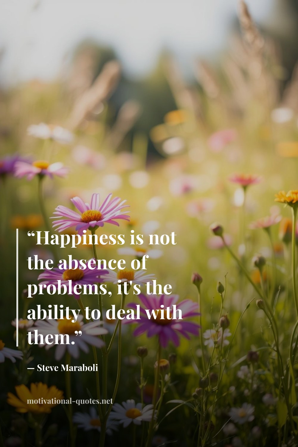 "“Happiness is not the absence of problems, it's the ability to deal with them.”" — Steve Maraboli