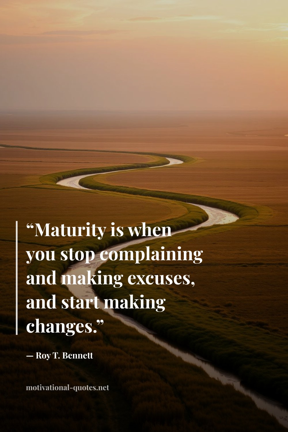 "“Maturity is when you stop complaining and making excuses, and start making changes.”" — Roy T. Bennett
