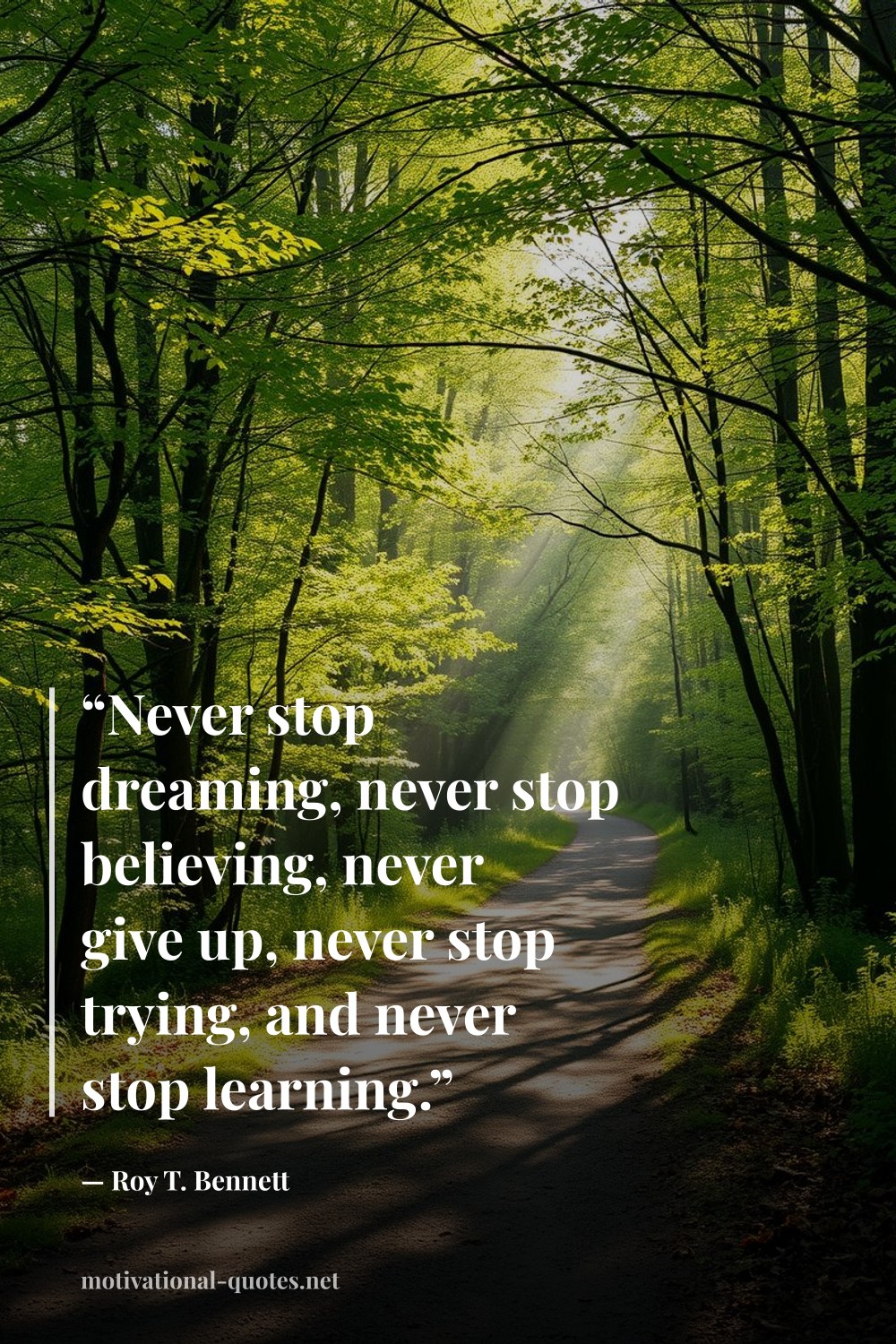 "“Never stop dreaming, never stop believing, never give up, never stop trying, and never stop learning.”" — Roy T. Bennett