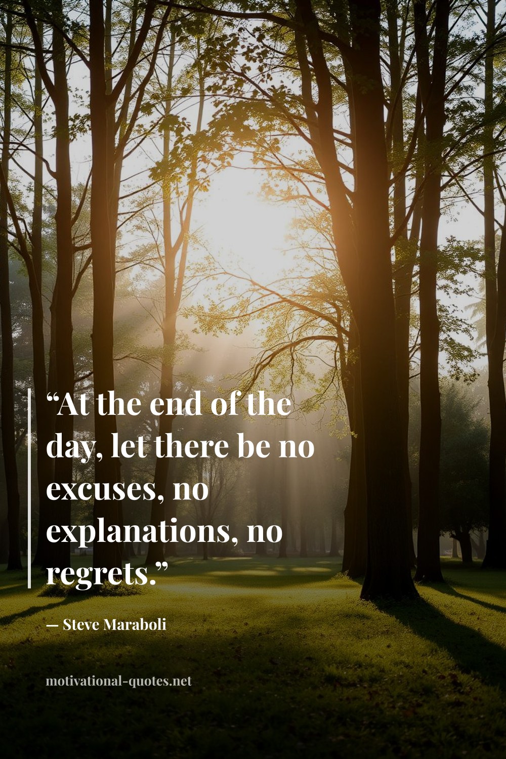 "“At the end of the day, let there be no excuses, no explanations, no regrets.”" — Steve Maraboli