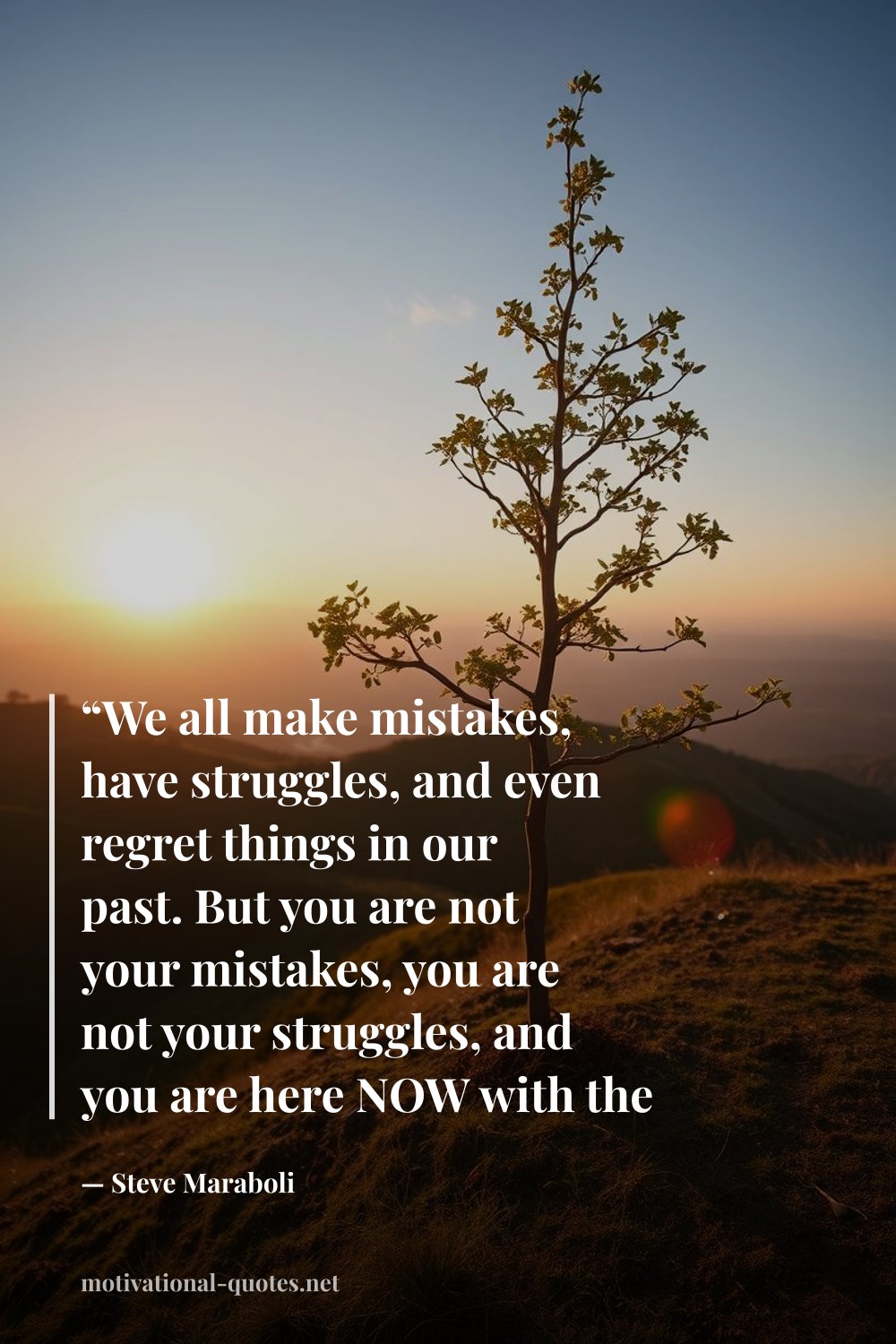 "“We all make mistakes, have struggles, and even regret things in our past. But you are not your mistakes, you are not your struggles, and you are here NOW with the power to shape your day and your future.”" — Steve Maraboli