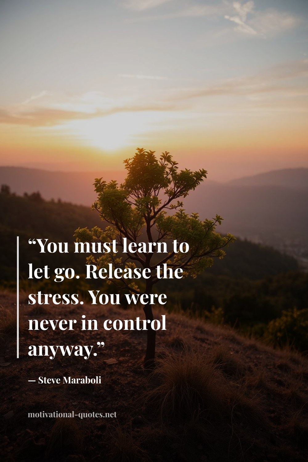 "“You must learn to let go. Release the stress. You were never in control anyway.”" — Steve Maraboli