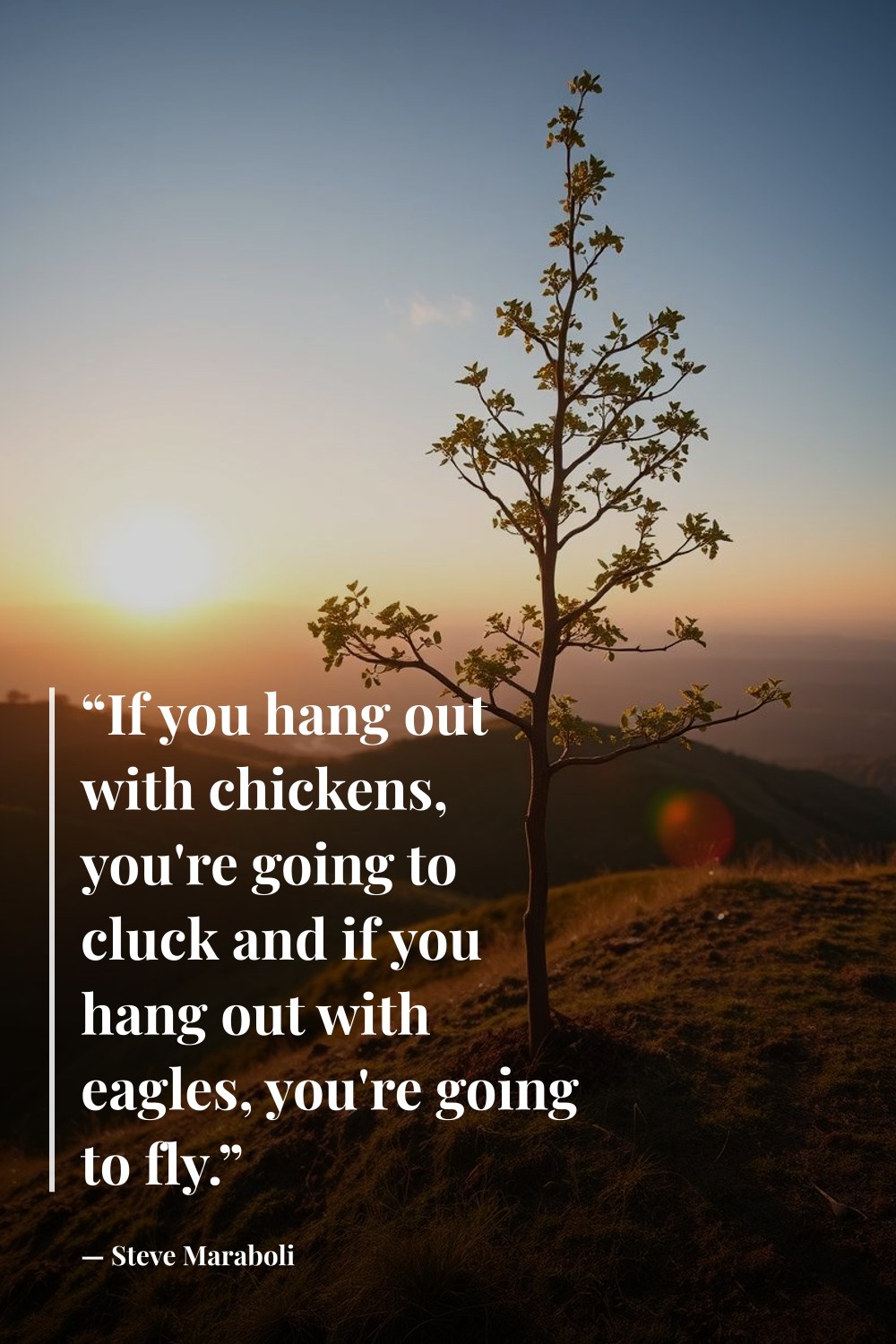 "“If you hang out with chickens, you're going to cluck and if you hang out with eagles, you're going to fly.”" — Steve Maraboli