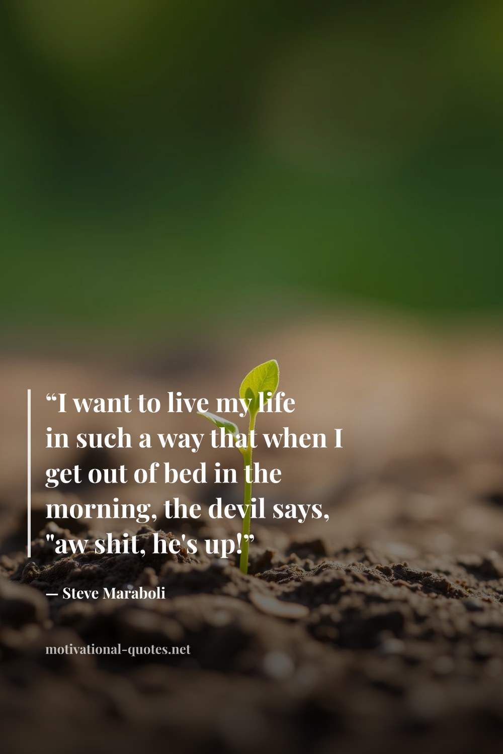 "“I want to live my life in such a way that when I get out of bed in the morning, the devil says, "aw shit, he's up!”" — Steve Maraboli
