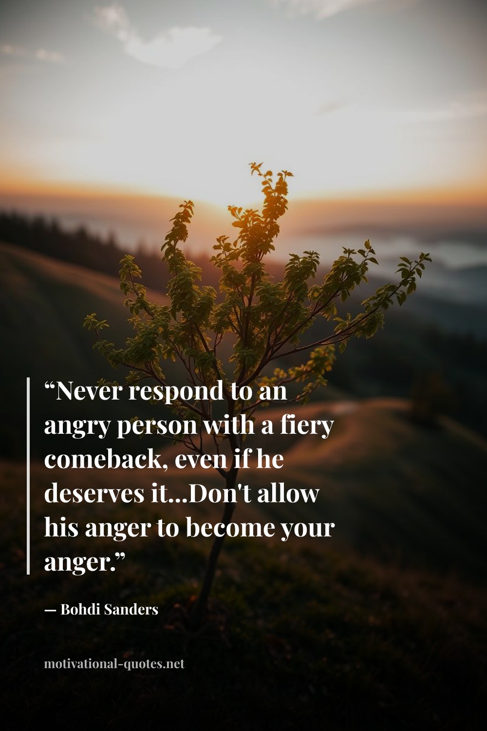 "“Never respond to an angry person with a fiery comeback, even if he deserves it...Don't allow his anger to become your anger.”" — Bohdi Sanders