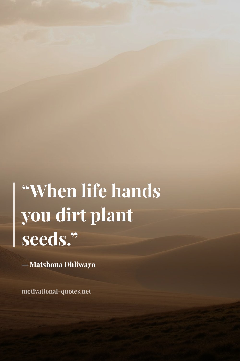 "“When life hands you dirt plant seeds.”" — Matshona Dhliwayo