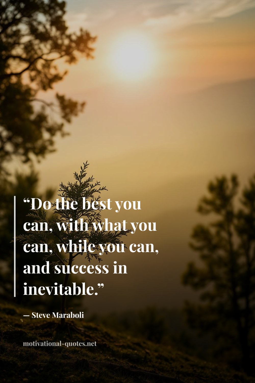 "“Do the best you can, with what you can, while you can, and success in inevitable.”" — Steve Maraboli