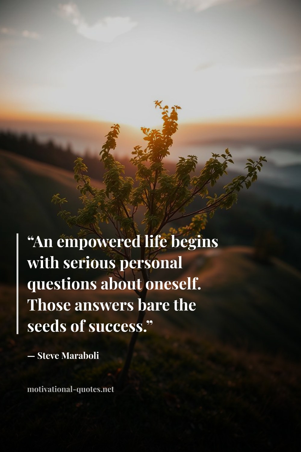"“An empowered life begins with serious personal questions about oneself. Those answers bare the seeds of success.”" — Steve Maraboli