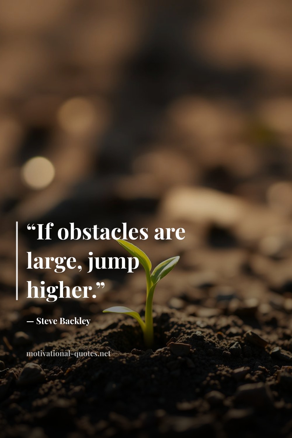 "“If obstacles are large, jump higher.”" — Steve Backley