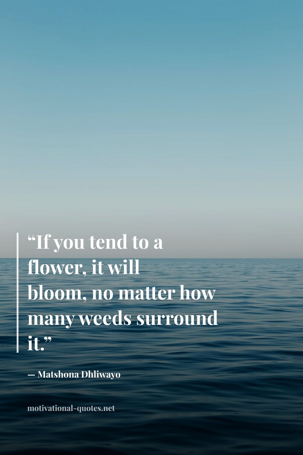 "“If you tend to a flower, it will bloom, no matter how many weeds surround it.”" — Matshona Dhliwayo