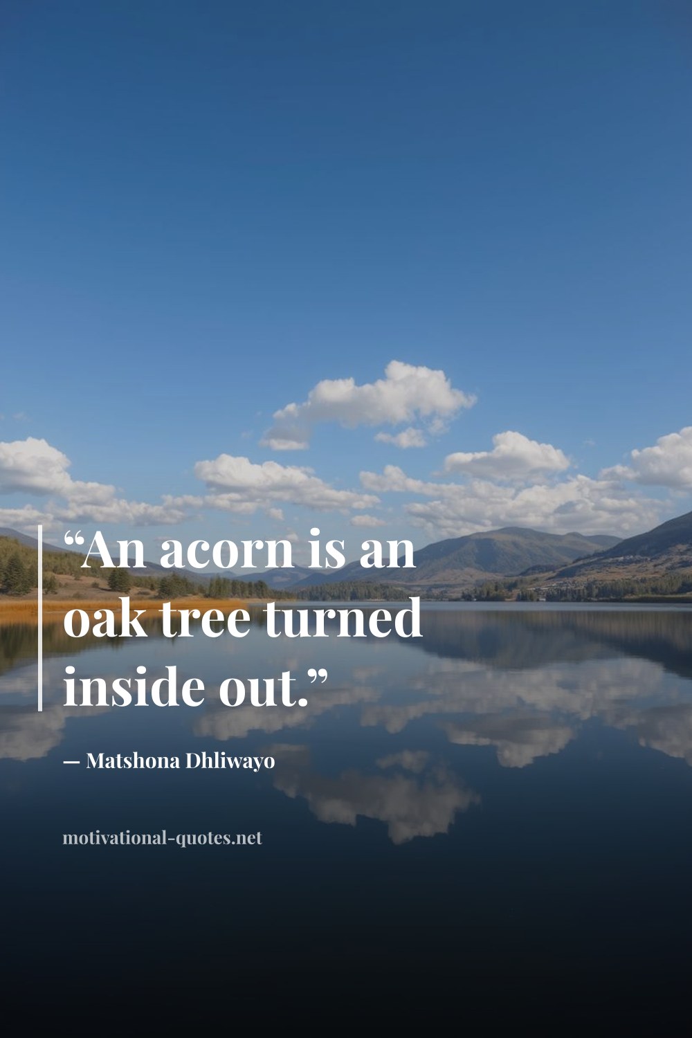 "“An acorn is an oak tree turned inside out.”" — Matshona Dhliwayo