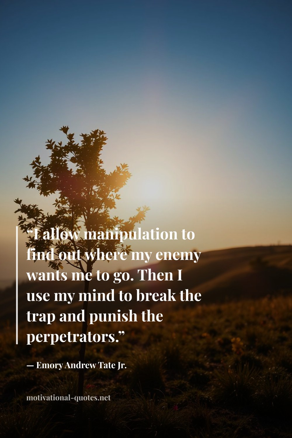 "“I allow manipulation to find out where my enemy wants me to go. Then I use my mind to break the trap and punish the perpetrators.”" — Emory Andrew Tate Jr.