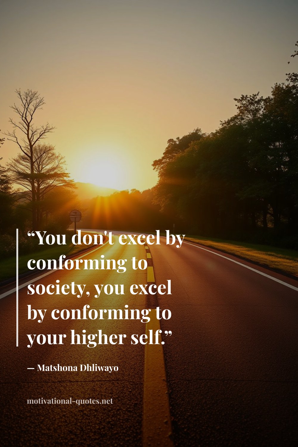 "“You don't excel by conforming to society, you excel by conforming to your higher self.”" — Matshona Dhliwayo
