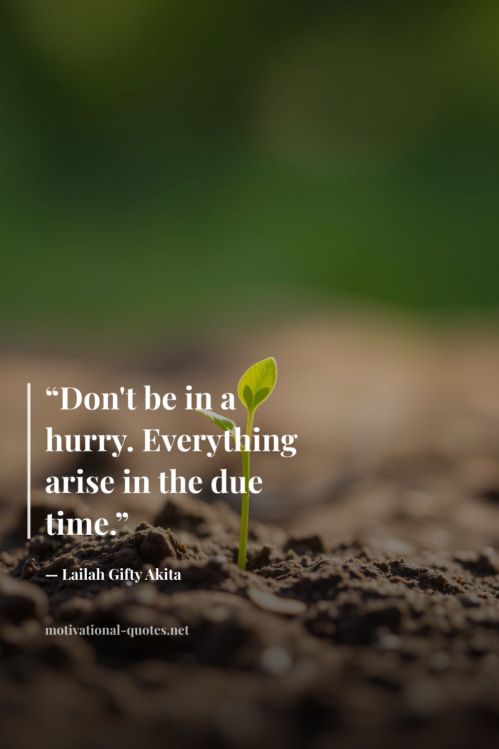"“Don't be in a hurry. Everything arise in the due time.”" — Lailah Gifty Akita