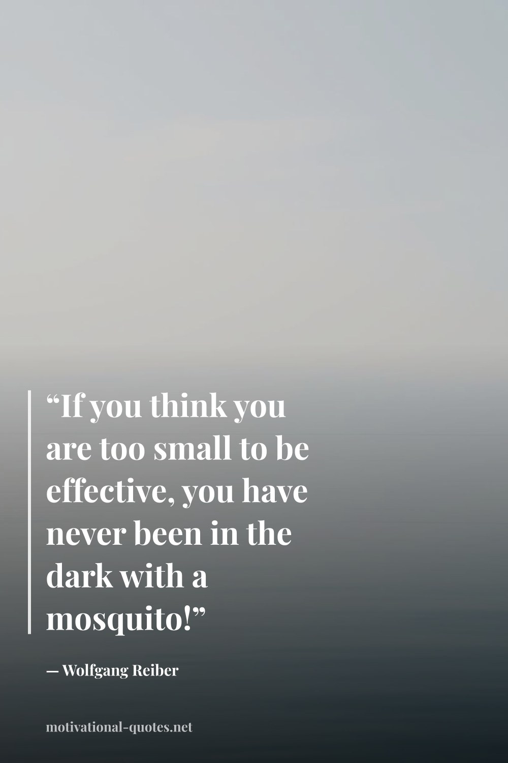 "“If you think you are too small to be effective, you have never been in the dark with a mosquito!”" — Wolfgang Reiber