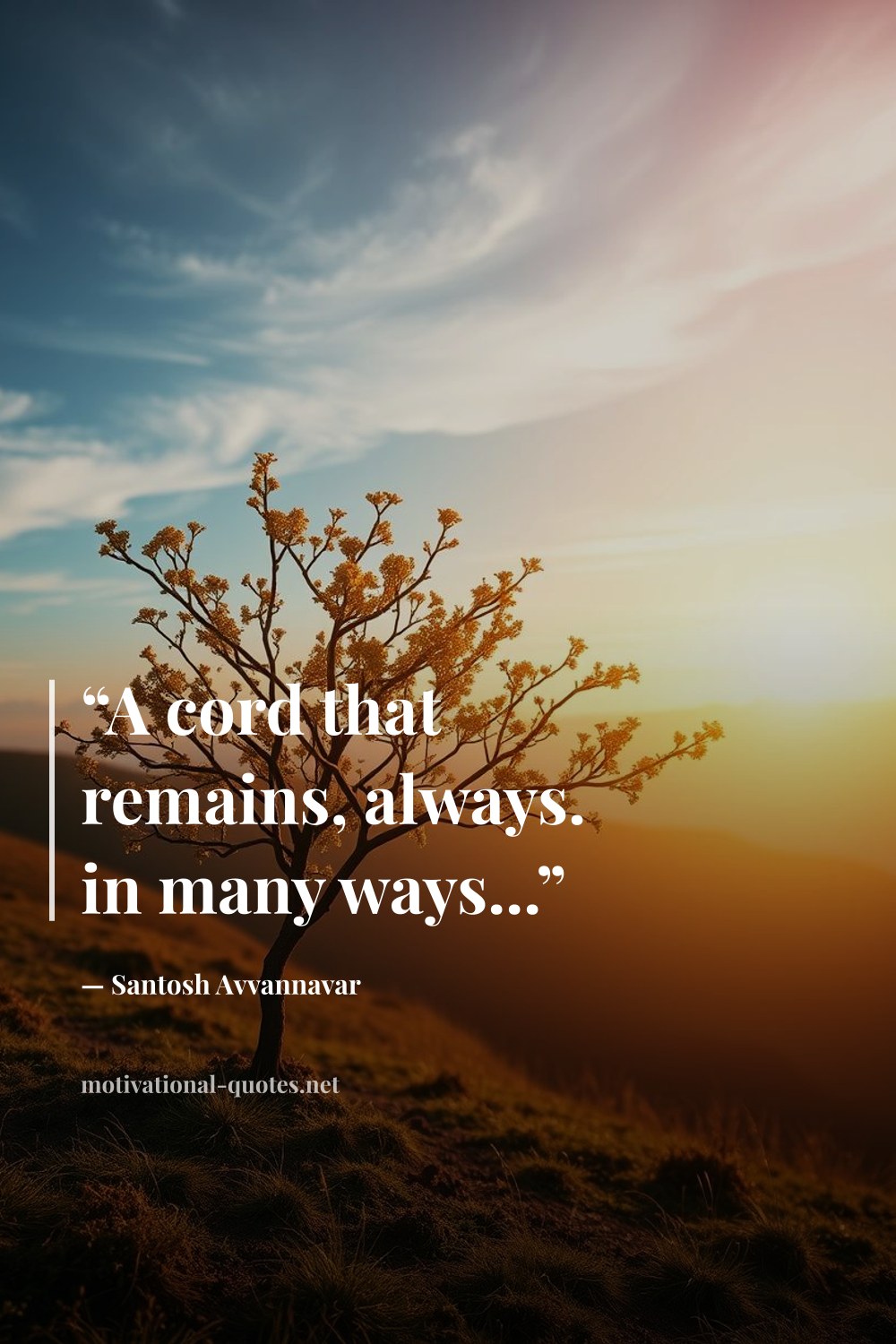 "“A cord that remains, always. in many ways...”" — Santosh Avvannavar