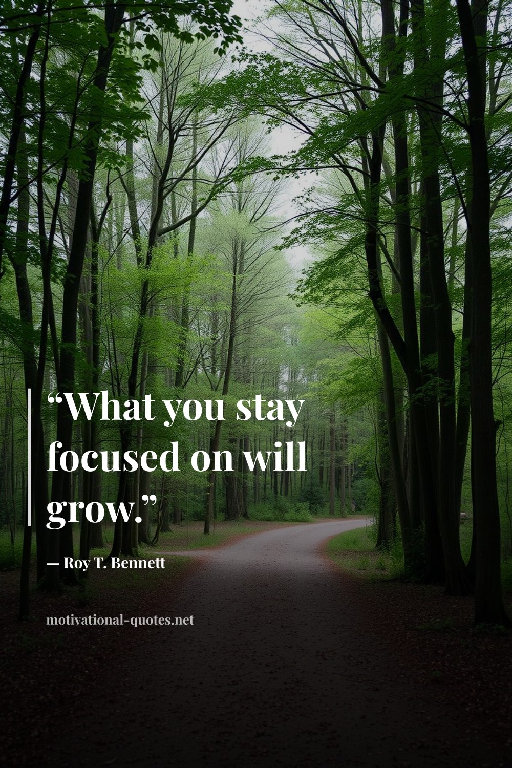 "“What you stay focused on will grow.”" — Roy T. Bennett