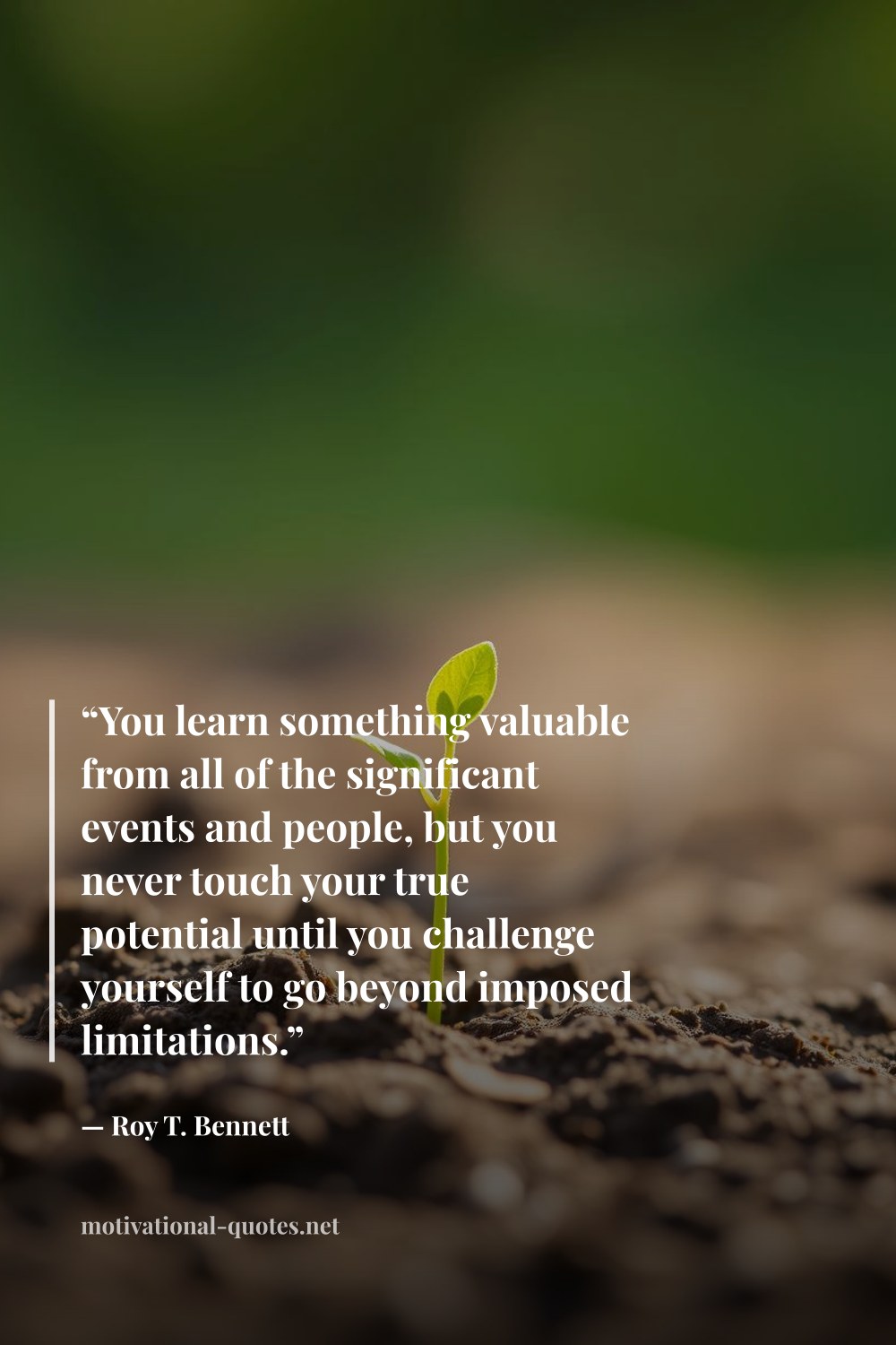 "“You learn something valuable from all of the significant events and people, but you never touch your true potential until you challenge yourself to go beyond imposed limitations.”" — Roy T. Bennett