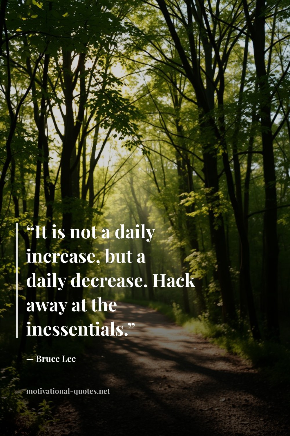 "“It is not a daily increase, but a daily decrease. Hack away at the inessentials.”" — Bruce Lee