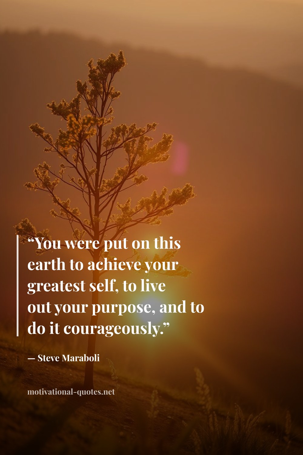 "“You were put on this earth to achieve your greatest self, to live out your purpose, and to do it courageously.”" — Steve Maraboli