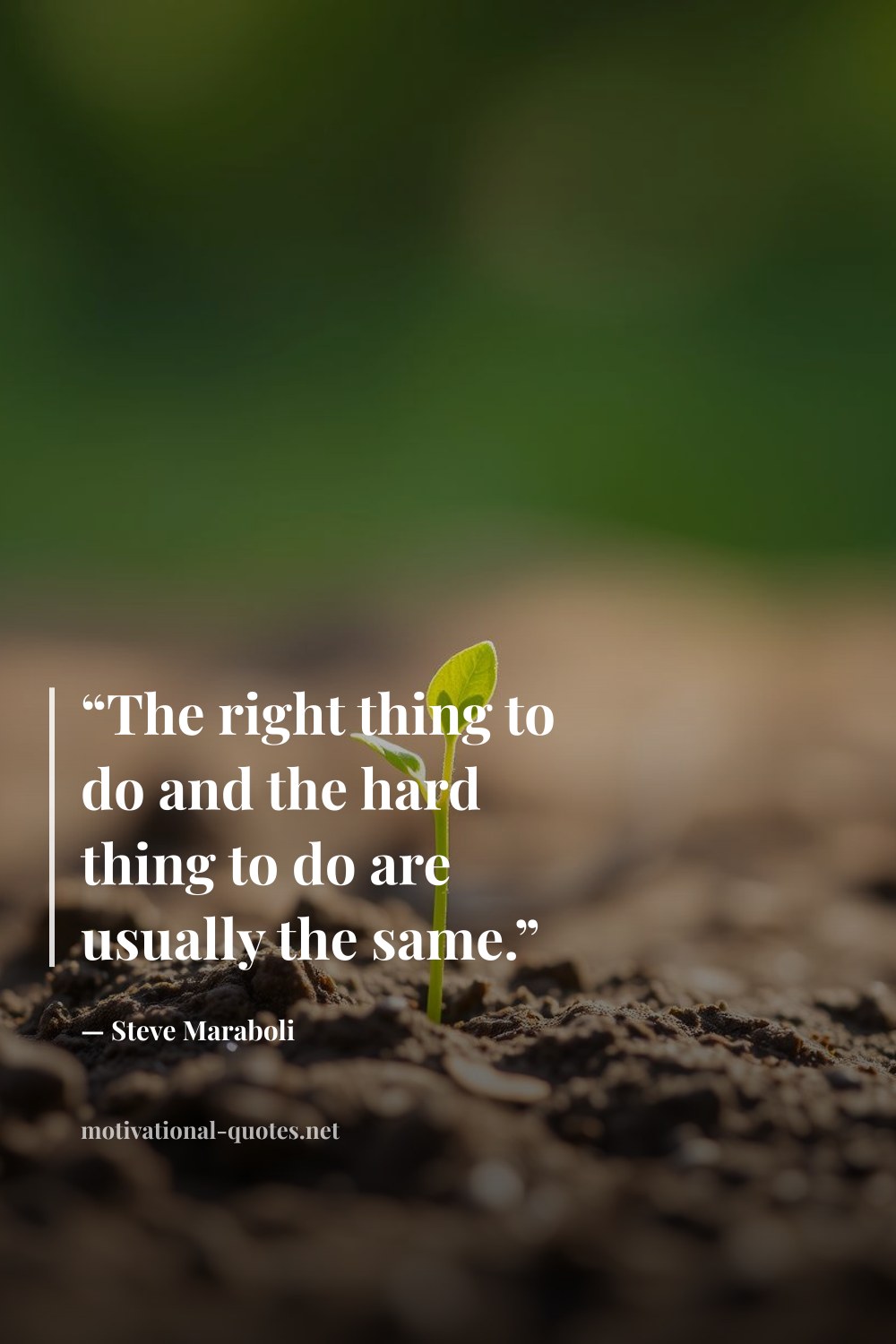 "“The right thing to do and the hard thing to do are usually the same.”" — Steve Maraboli
