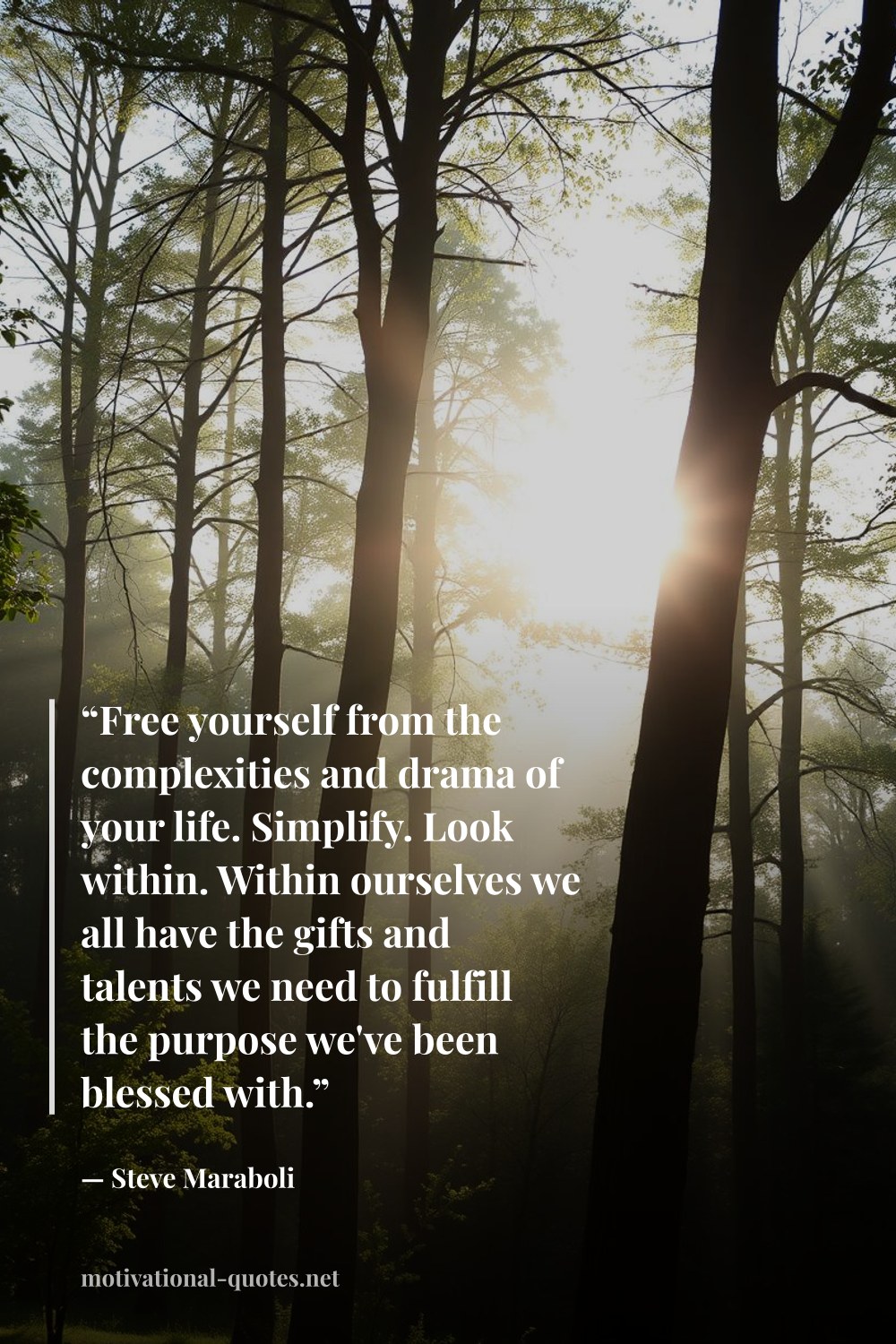 "“Free yourself from the complexities and drama of your life. Simplify. Look within. Within ourselves we all have the gifts and talents we need to fulfill the purpose we've been blessed with.”" — Steve Maraboli
