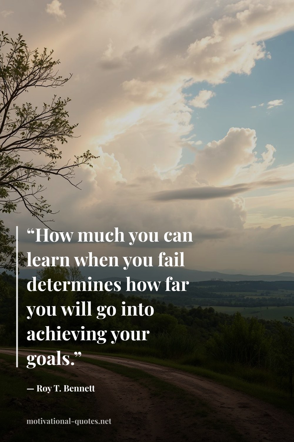 "“How much you can learn when you fail determines how far you will go into achieving your goals.”" — Roy T. Bennett