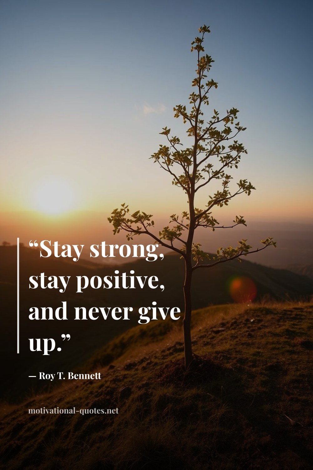 "“Stay strong, stay positive, and never give up.”" — Roy T. Bennett