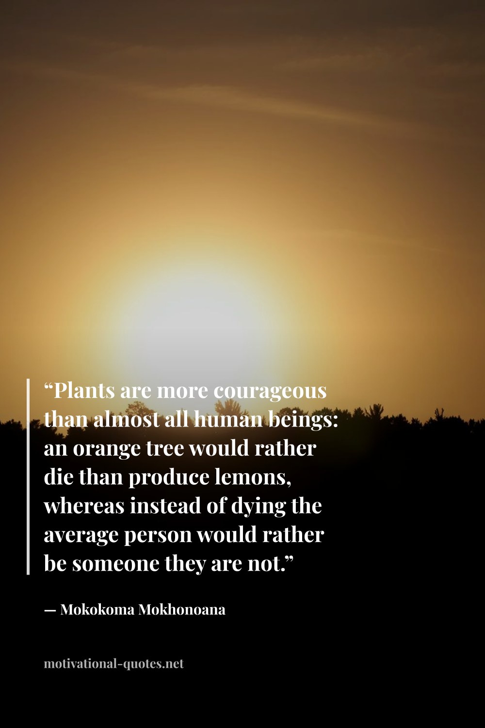 "“Plants are more courageous than almost all human beings: an orange tree would rather die than produce lemons, whereas instead of dying the average person would rather be someone they are not.”" — Mokokoma Mokhonoana