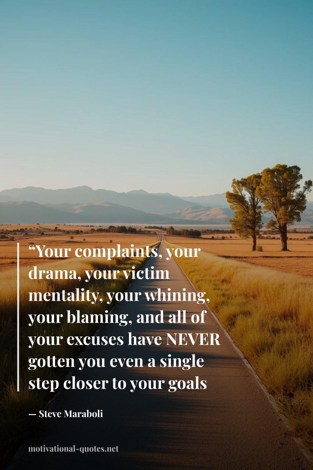"“Your complaints, your drama, your victim mentality, your whining, your blaming, and all of your excuses have NEVER gotten you even a single step closer to your goals or dreams. Let go of your nonsense. Let go of the delusion that you DESERVE better and go EARN it! Today is a new day!”" — Steve Maraboli