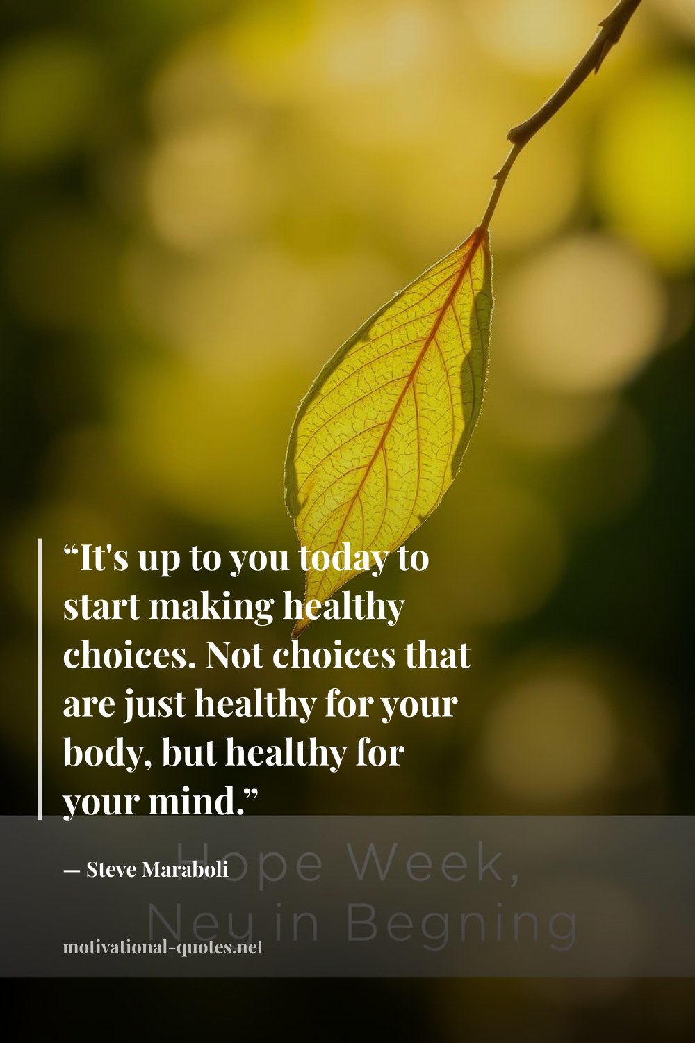 "“It's up to you today to start making healthy choices. Not choices that are just healthy for your body, but healthy for your mind.”" — Steve Maraboli