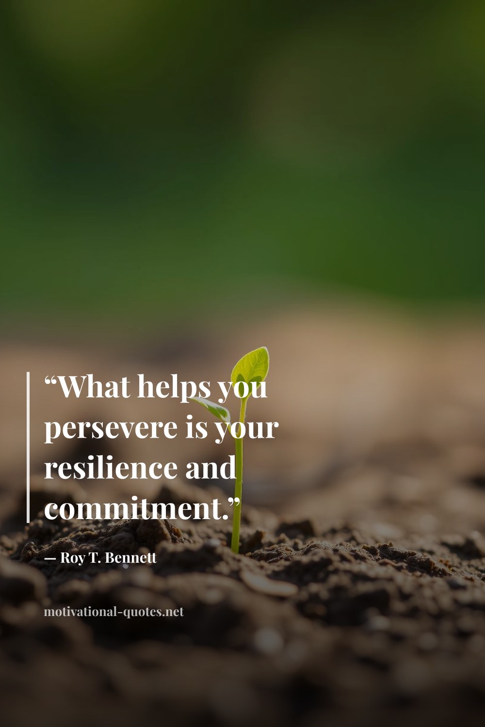 "“What helps you persevere is your resilience and commitment.”" — Roy T. Bennett