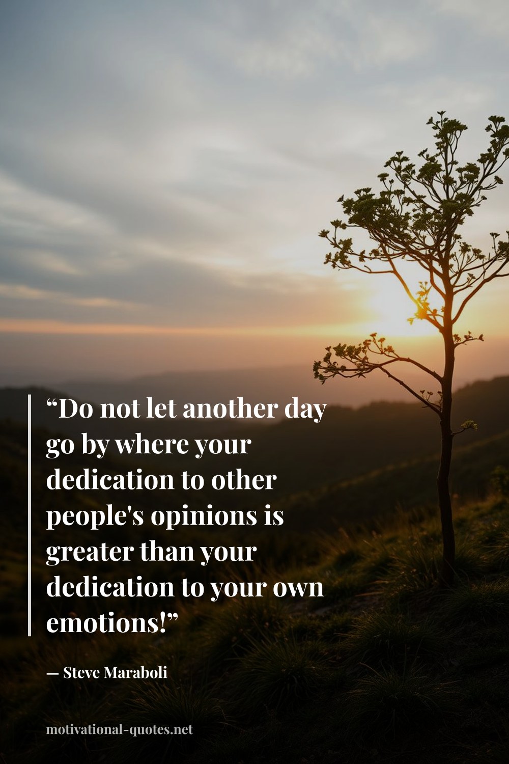 "“Do not let another day go by where your dedication to other people's opinions is greater than your dedication to your own emotions!”" — Steve Maraboli