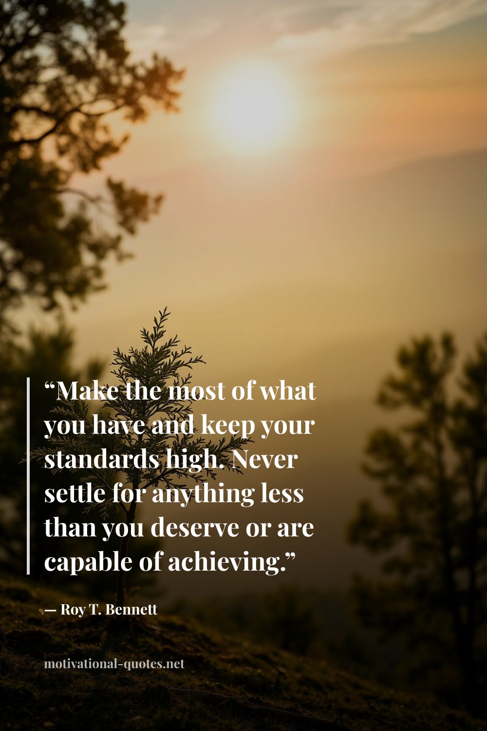 "“Make the most of what you have and keep your standards high. Never settle for anything less than you deserve or are capable of achieving.”" — Roy T. Bennett