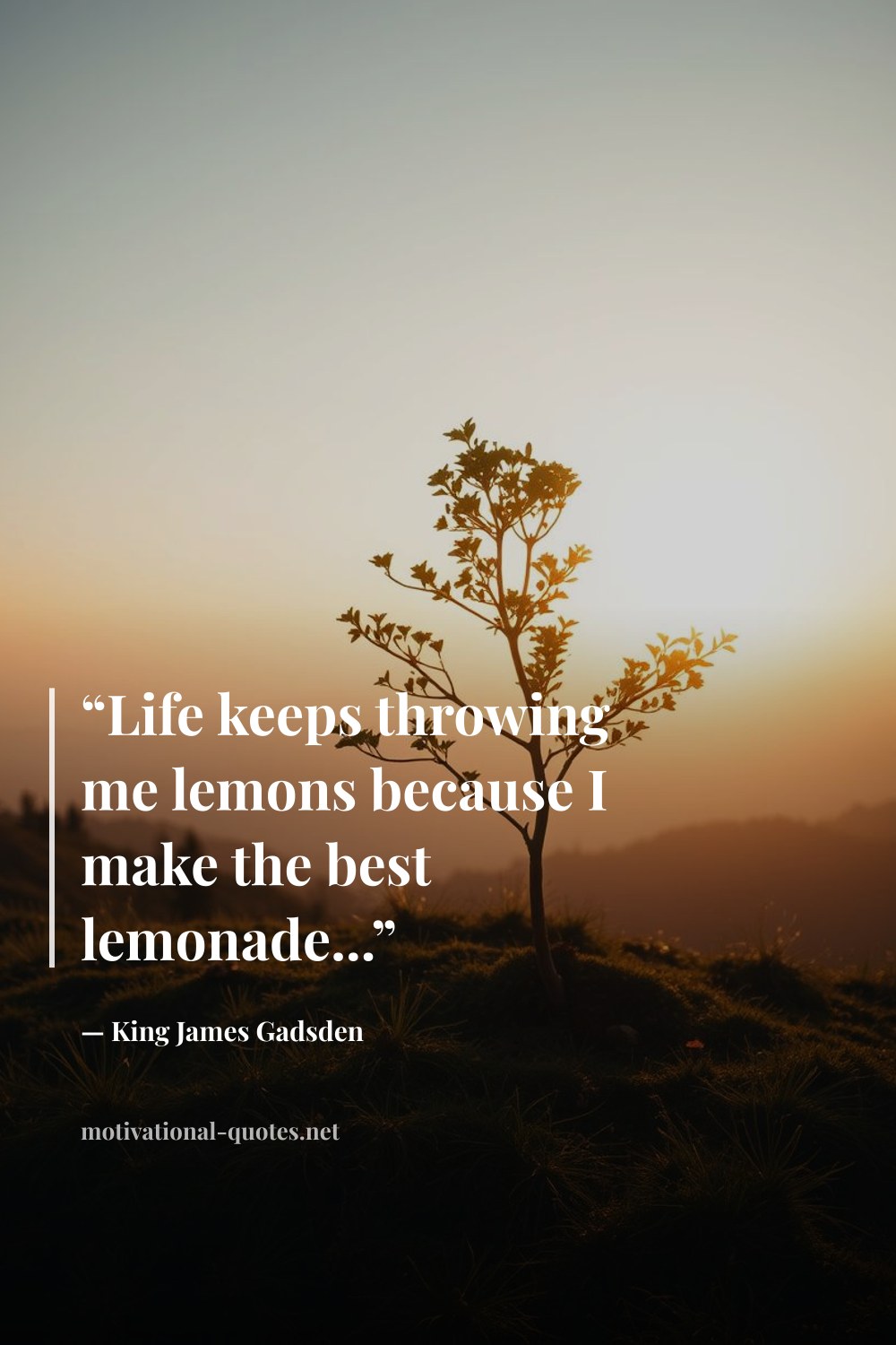 "“Life keeps throwing me lemons because I make the best lemonade...”" — King James Gadsden