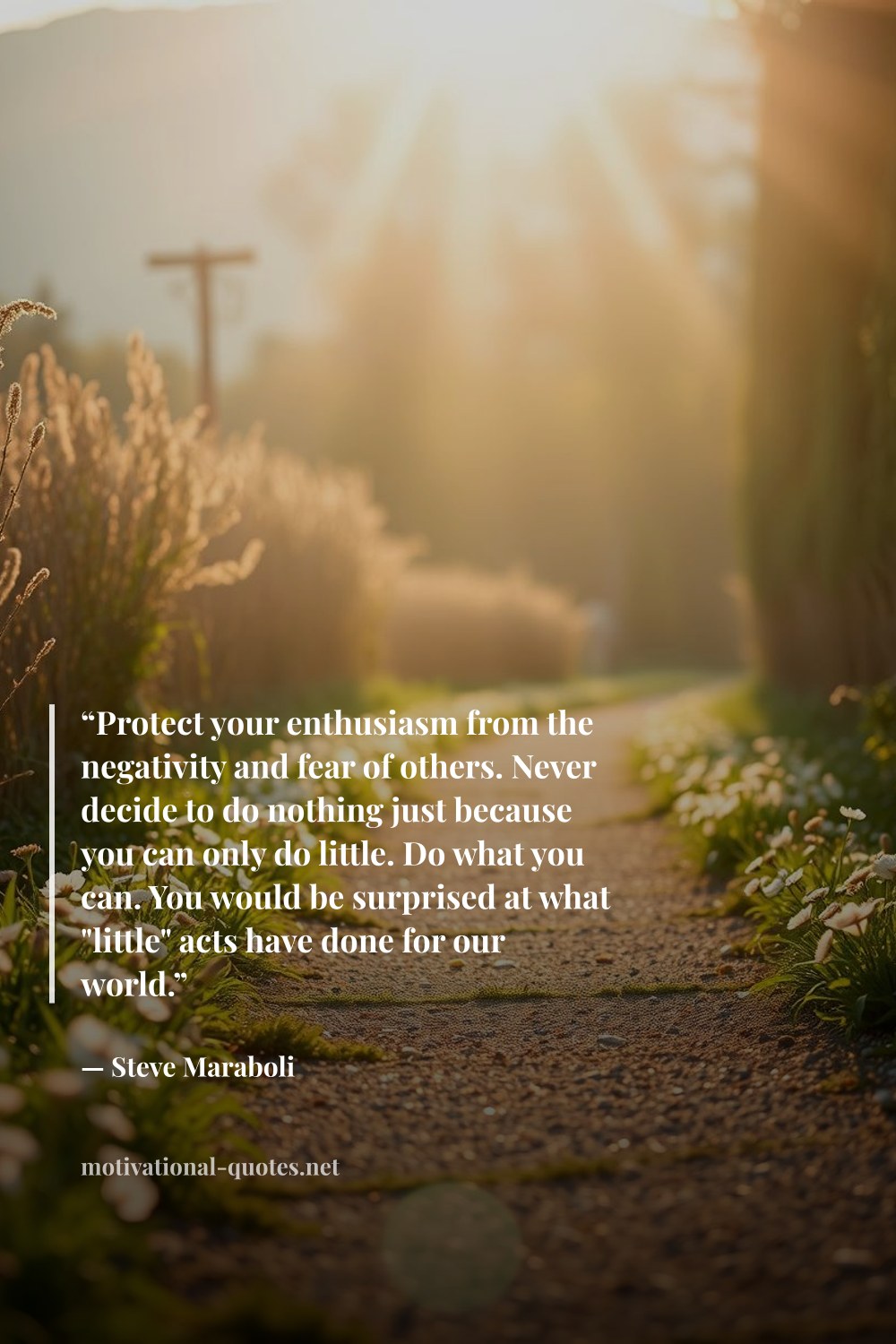 "“Protect your enthusiasm from the negativity and fear of others. Never decide to do nothing just because you can only do little. Do what you can. You would be surprised at what "little" acts have done for our world.”" — Steve Maraboli