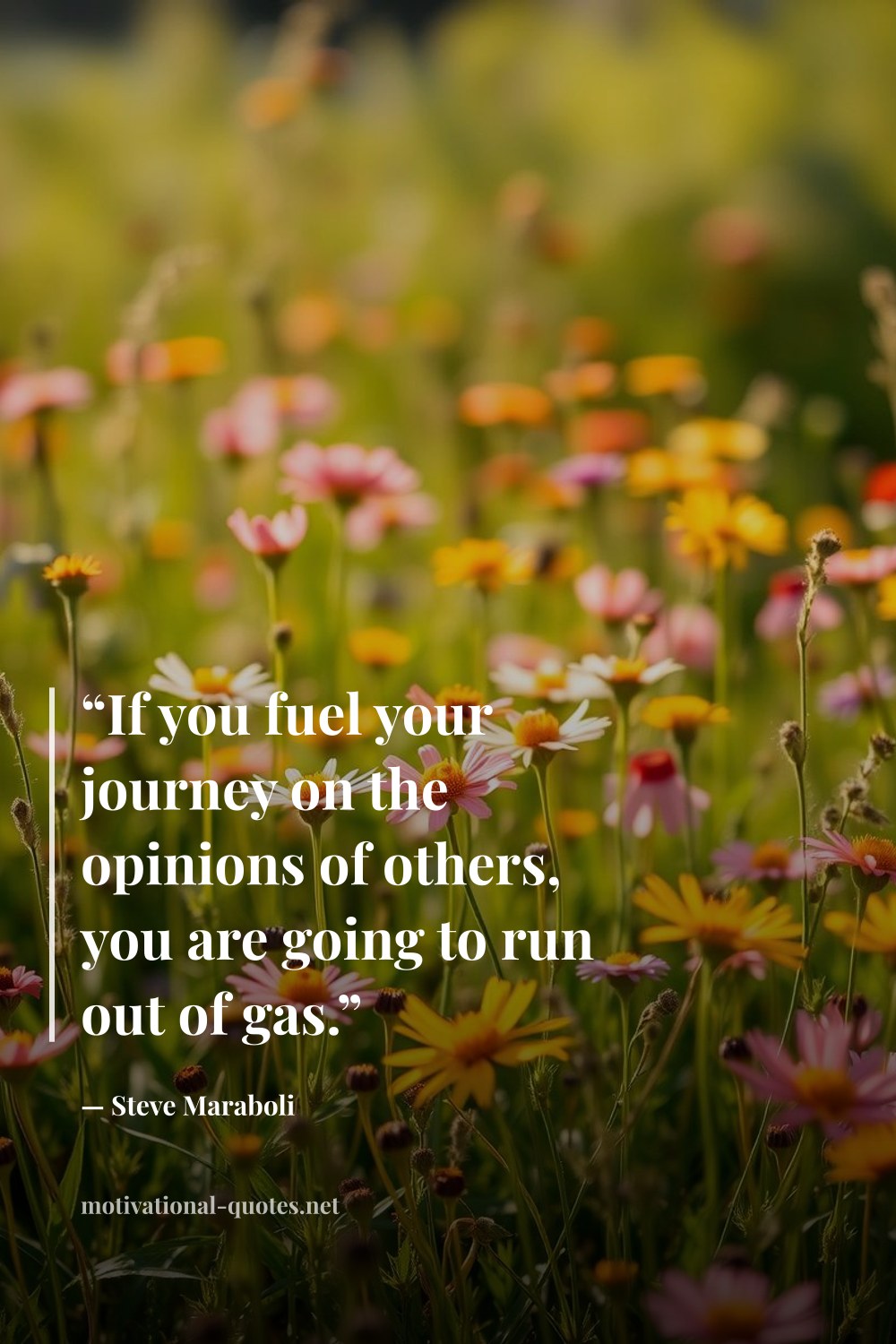 "“If you fuel your journey on the opinions of others, you are going to run out of gas.”" — Steve Maraboli